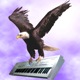 Avatar de keyboardsfr78