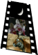 Avatar de lanatureenphoto