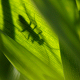 Avatar de laurius Avatar de laurius