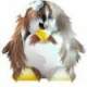 Avatar de leyeti77