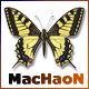 Avatar de machaon