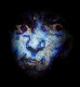 Avatar de Majestic Indigo Avatar de Majestic Indigo
