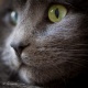 Avatar de maya26