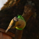 Avatar de Nicolas.V40310