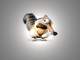Avatar de pixel973