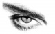 Avatar de Quinotaure