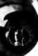 Avatar de rhino