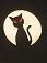 Avatar de salvergnat