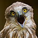 Avatar de Sebrr600 Avatar de Sebrr600