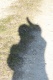 Avatar de standb74