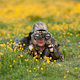 Avatar de Tom-Mosack Avatar de Tom-Mosack