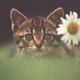 Avatar de tony59