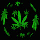 Avatar de troll2000 Avatar de troll2000