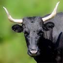 Avatar de Vince-0506 Avatar de Vince-0506