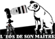 Avatar de zejej Avatar de zejej