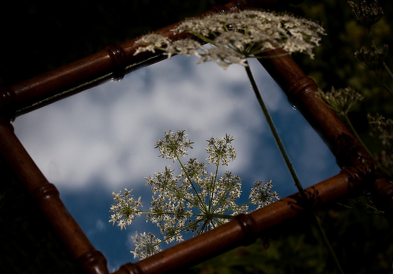 Cliquer sur la photo pour lire ou poster un commentaire