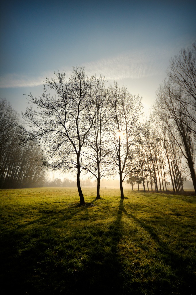 Cliquer sur la photo pour lire ou poster un commentaire