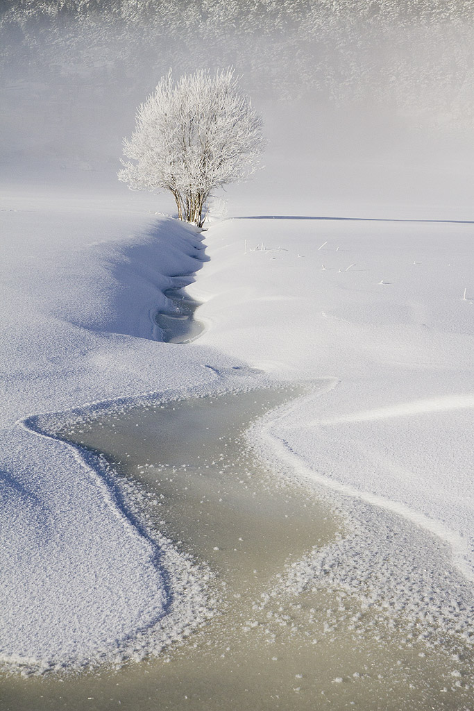 Cliquer sur la photo pour lire ou poster un commentaire
