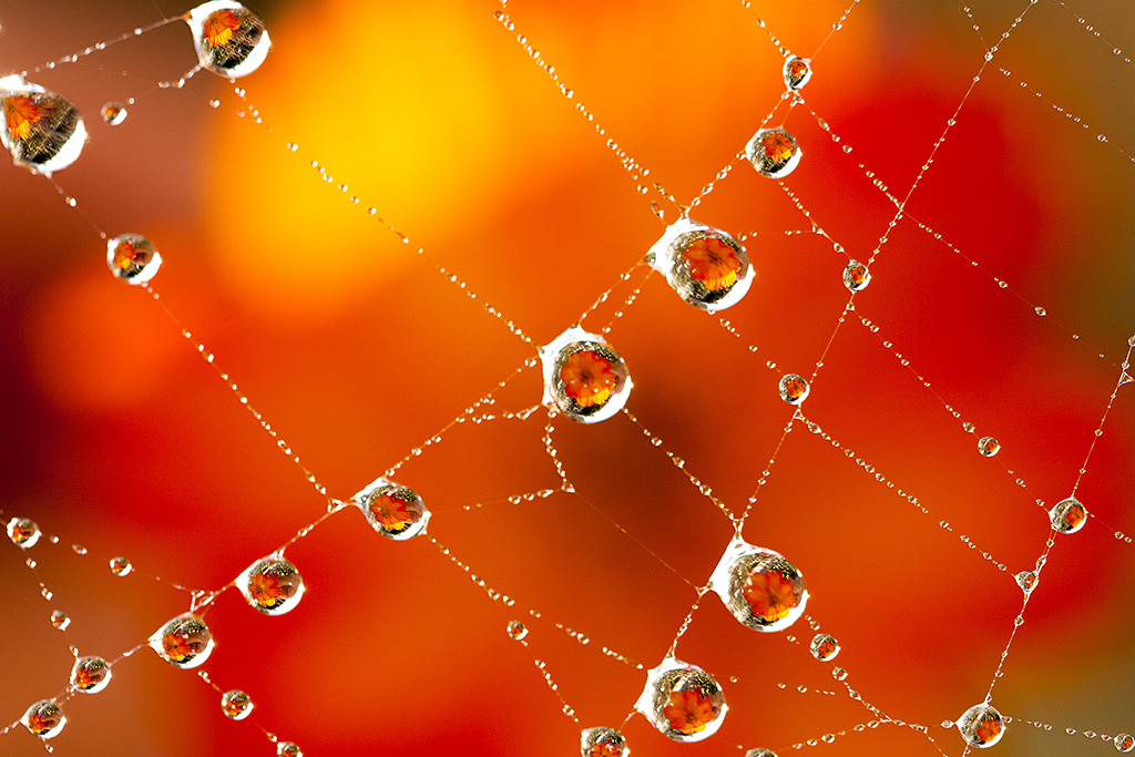 Cliquer sur la photo pour lire ou poster un commentaire