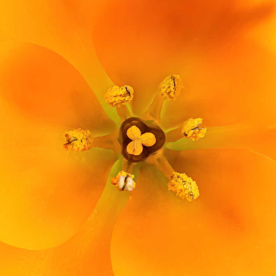 Cliquer sur la photo pour lire ou poster un commentaire