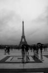 Voir la photo