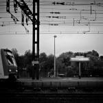 Voir la photo