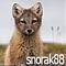 Avatar de snorak88
