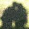 Avatar de ticoeurs