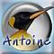 Avatar de PaNeB