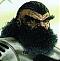 Avatar de perrolain