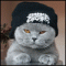 Avatar de Bugs43