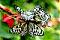 Avatar de kaled21