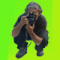 Avatar de XRayder