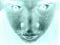 Avatar de chtoof