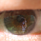 Avatar de EddyM78