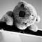 Avatar de benjdour