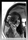 Avatar de Lulouna