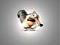Avatar de pixel973