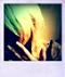 Avatar de Babyfuria