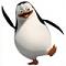 Avatar de Gui2wat