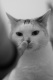 Avatar de bananafly0816