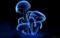 Avatar de NicOz