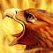Avatar de phoenix13