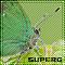 Avatar de superG