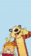 Avatar de Le matt