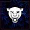 Avatar de PantherFilms