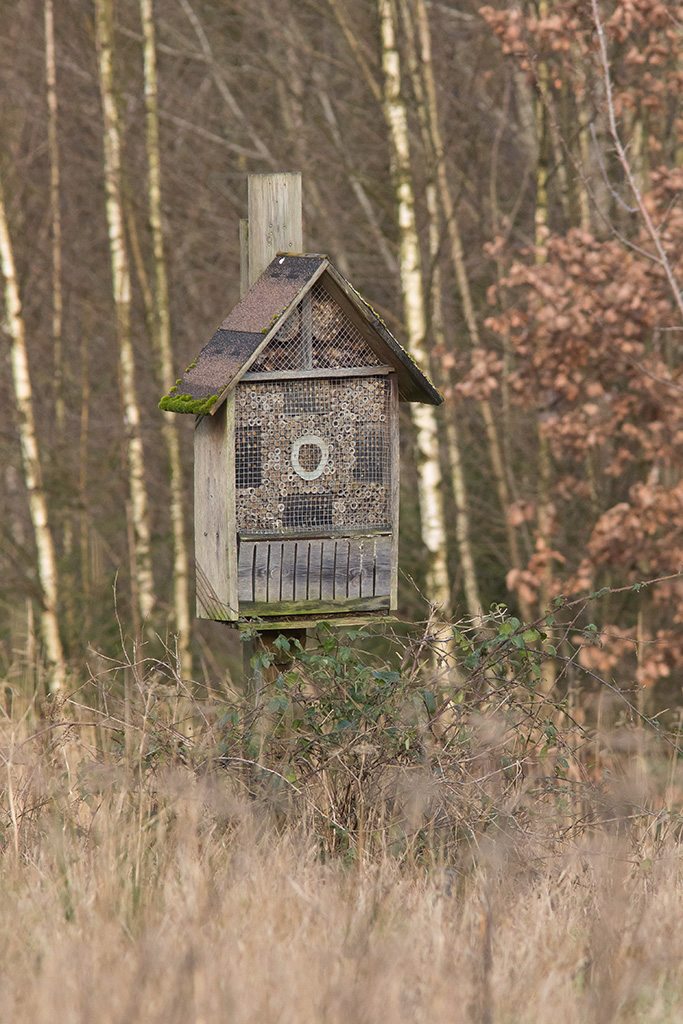 Sigma 150-600 et Tamron 150-600 - Page 6
